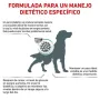 Royal Canin 7Kg Diabetic Canine especial para perros con problemas de diabetes en Priego de Córdoba
