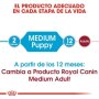 Royal Canin Medium Puppy Alimento completo para cachorros para adoptar un perro en priego de Córdoba