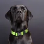 Collar Xtdog de Nylon Para Perros