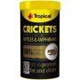 Tropical Crickets Deshidratados Para Reptiles