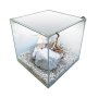 Acuario Newa Cubo Ego Lid 50 Blanco