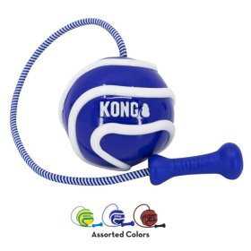 Kong Wavz Bunjibal