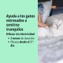 solución calmante para gatos