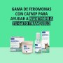 Zenifel Gel es ideal para gatos que se alteran con facilidad