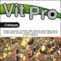 Comida para Cobayas 3Kg - Vit Pro