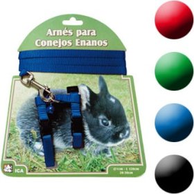 Arnes + Correa De Conejo Enano Azul