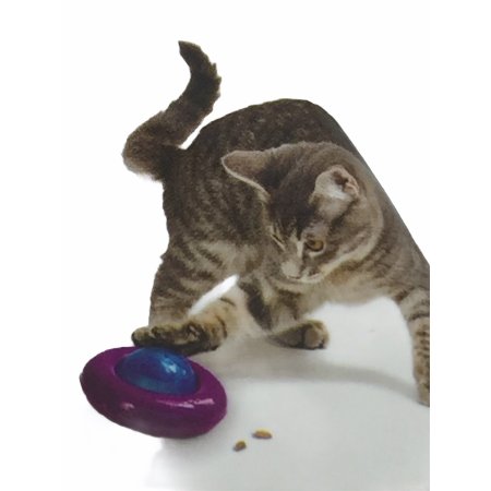 https://aquariumterramar.com/7133-medium_default/juguete-kong-infused-cat-gyro-c-10cm.jpg