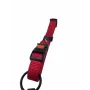 Collar Para Peros Soportiv Plus 15Mm X 30-45Cm Rojo mascotas en priego de cordoba