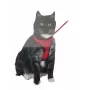 Arnes Para Gatos Super Comodo Negro - Rojo 10Mm Con Correa 120 Cm mascotas en priego de cordoba