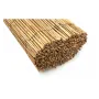 CañIzo Bambu Rollo De 2 X 5 M en priego de cordoba