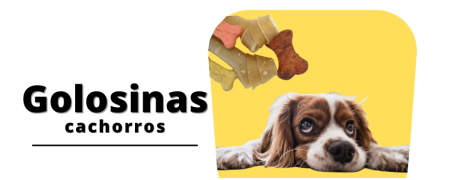 Galletas y snack para tu cachorro