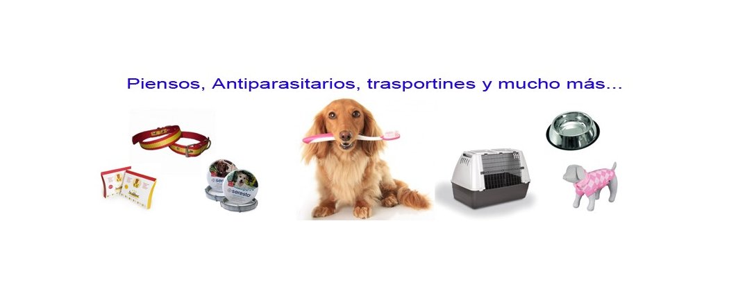 Sección de perros; Pienso, collares, correas, antiparasitarios y más.