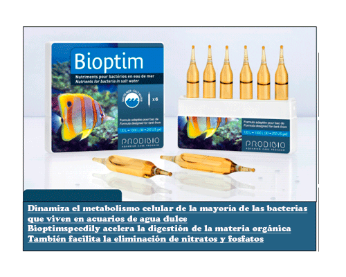 bioptim prodibio 30 ampollas
